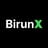 BirunX