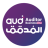 داراتش المدقق المحاسبي